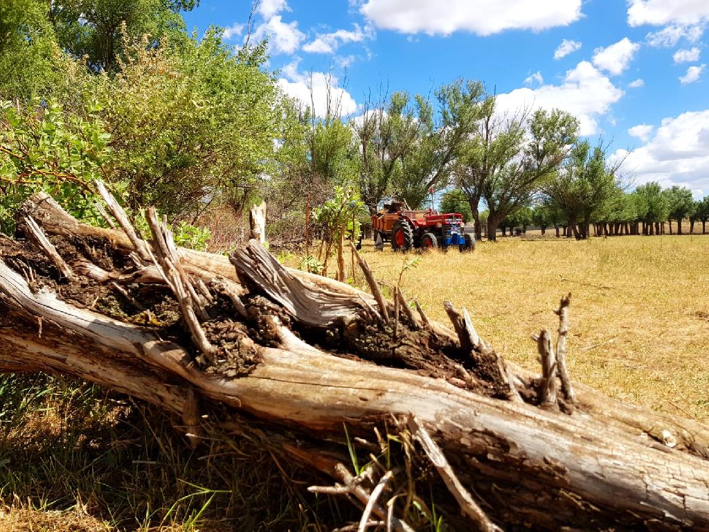 KÖYDEN GÖRÜNTÜLER